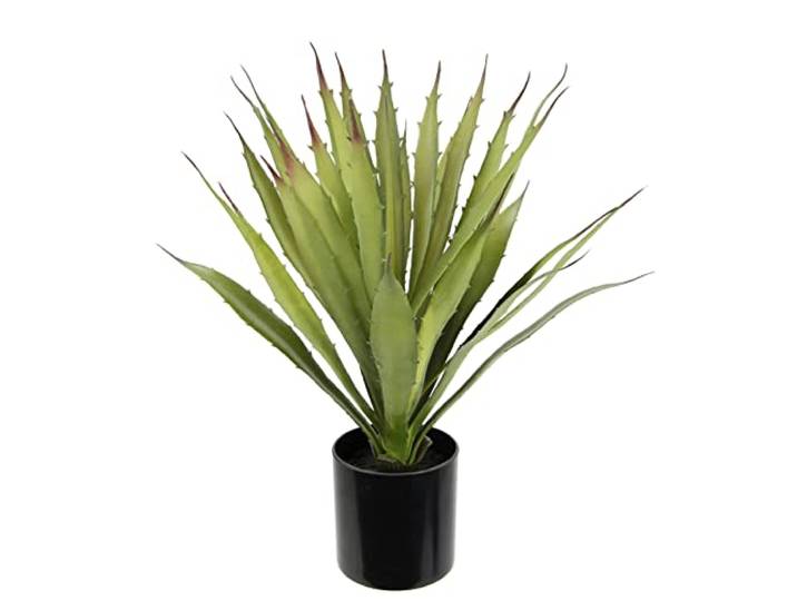 Künstliche Agave Aloe Vera im Topf Kunstpflanze Sansevieria exotische Pflanzen Grünpflanze Kunstblume Topfpflanze Zimmerpflanze Deko Terrasse Balkon Sukkulente Yucca Kalanchoe Kaktus Kakteen