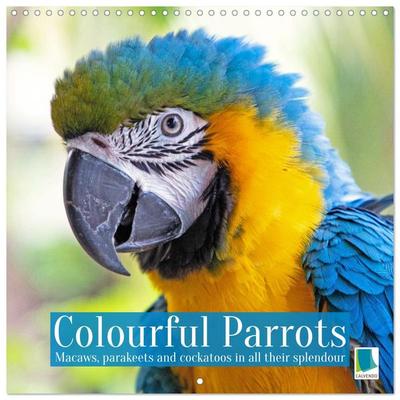 Colourful Parrots (Wall Calendar 2026 12 × 12 Inch) CALVENDO 12 Month Wall Calendar