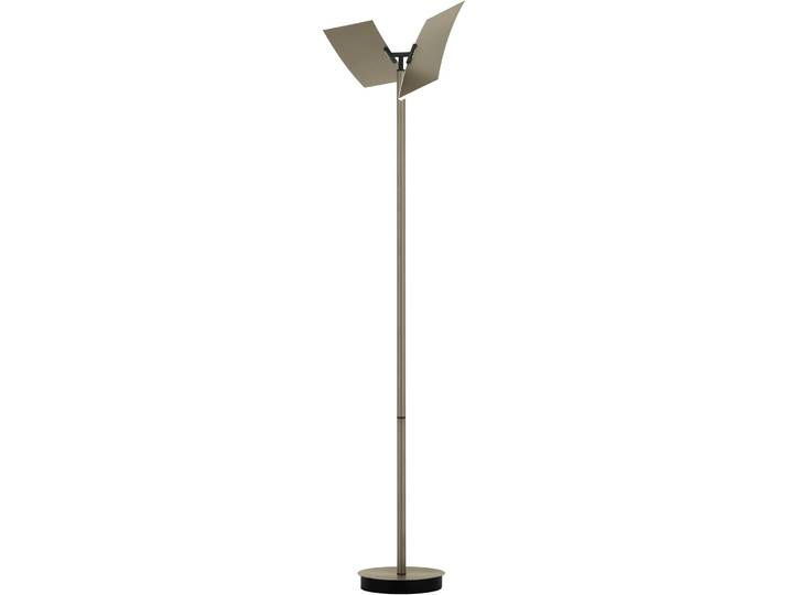 Stehlampe Twice bronze Aluminium/Eisen 4700 lm H 185 cm - LED - Lichtfarbe: Extra warmweiss - Helles Neutralweiss- LED Energiesparlampe