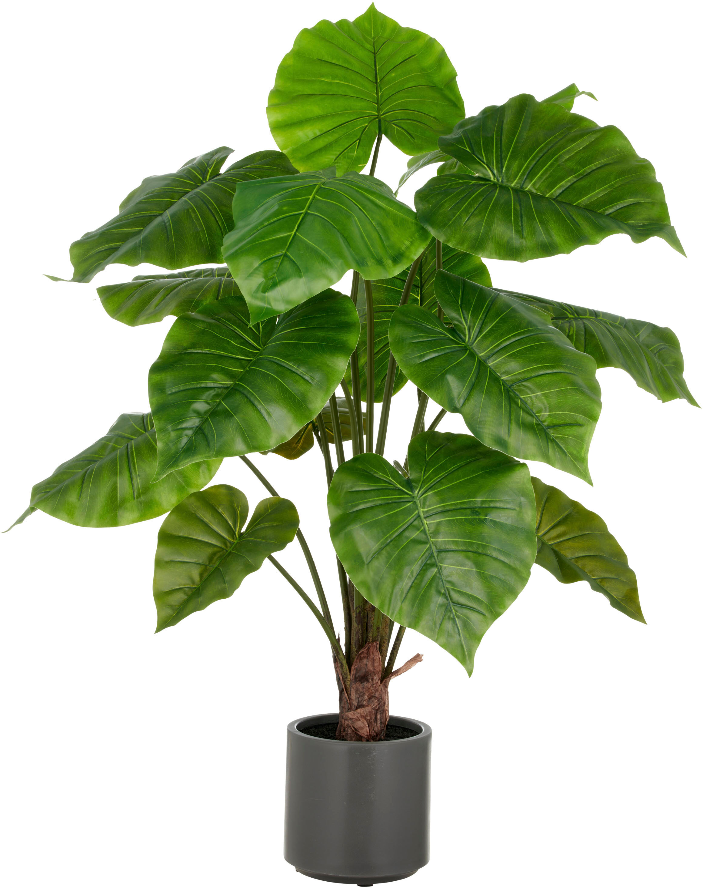 Kunstpflanze CREATIV GREEN "Alocasia Wentii", grün, H:100cm, Kunststoff, Kunstpflanzen, Kunstpflanze, mit naturgetreuem Blattwerk