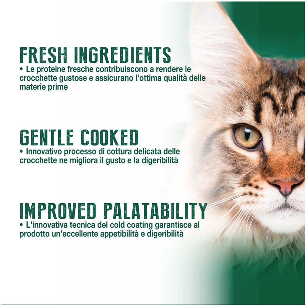 Virtus Cat Nutrition Selection Exigent Merluzzo 450G