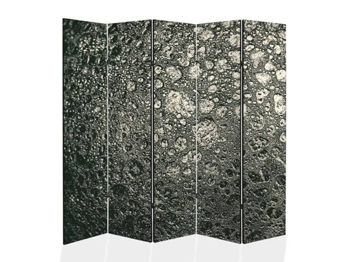 framed concept - Paravent Raumteiler Holz 225x172 cm, 5-teilig beidseitig, Sichtschutzwand