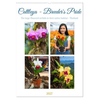Cattleya - Breeder's Pride (Wall Calendar 2027 DIN A2 portrait), CALVENDO 12 Month Wall Calendar