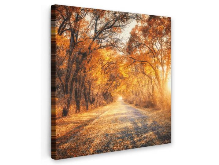 LEINWANDBILD Wald - Herbst - Bäume - Waldweg - Natur Deko Groß 90x90 cm