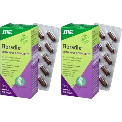 Salus Floradix Eisen plus B-Vitamine Doppelpack 2x40 St Kapseln