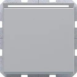Hager Elek. Hotel-Card-Sch. A.x/C.x titan met
