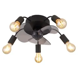 Globo Deckenventilator Alisha Alu, Eisen, Stahl & Metall