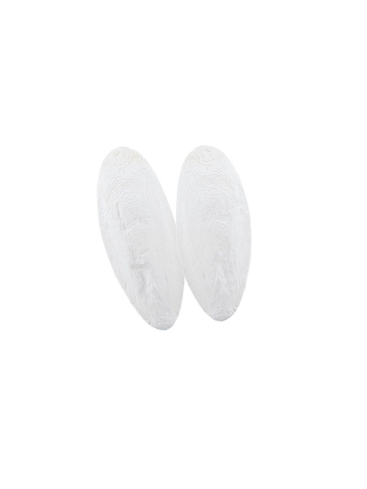 Nobby Sepiaschalen 1 kg, 7,5-10 cm, 1 kg