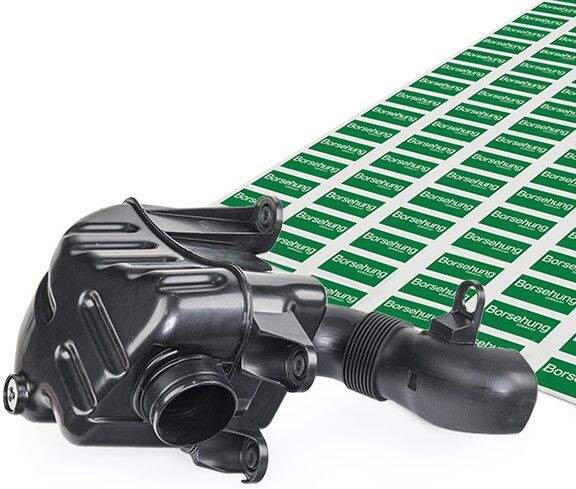 Borsehung B12830 Air Intake System