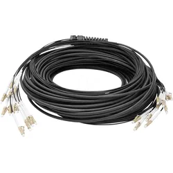 DIGI 2433CU050BK - Breakout Kabel 12 Fasern, OM4, LC/UPC, 50 m