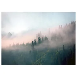 FOTOTAPETE Wald im Nebel Vliestapete Tapete 300x210