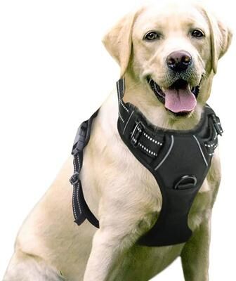 Pet Hub Reflective Adjustable Pet Dog Harness: Breathable Vest For Dogs & Cats S red