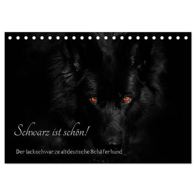 Schwarz ist schön! Der lackschwarze altdeutsche Schäferhund (Tischkalender 2027 DIN A5 quer), CALVENDO Monatskalender