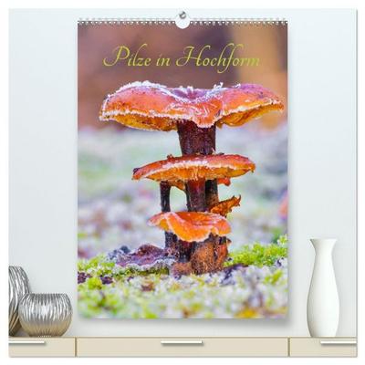 Pilze in Hochform (hochwertiger Premium Wandkalender 2026 DIN A2 hoch), Kunstdruck in Hochglanz