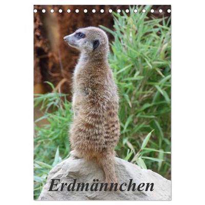Erdmännchen (Tischkalender 2027 DIN A5 hoch), CALVENDO Monatskalender
