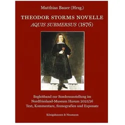 Theodor Storms Novelle Aquis submersus (1876), Fachbücher von Matthias Bauer