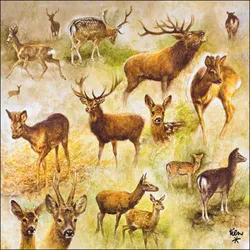 Ambiente 20 Servietten Papier 33x33cm 3-lag. - hochwertige Einweg Papierservietten Hirsche Rehe Wildtiere Waldmotiv Tischdeko Herbst Natur Dekoration Wild Wald