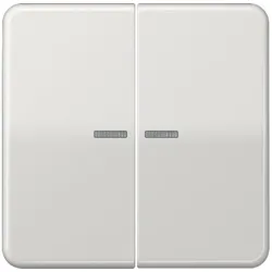 Jung Wippe Lichtleiter lgr CD 595 KO5 LG