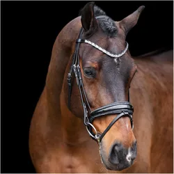 Imperial Riding, Zaumzeug