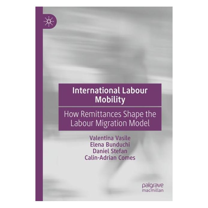 Springer International Labour Mobility (Englisch, Softcover, Calin-Adrian Comes, Daniel Stefan, Elena Bunduchi, Valentina Vasile) (56995070)