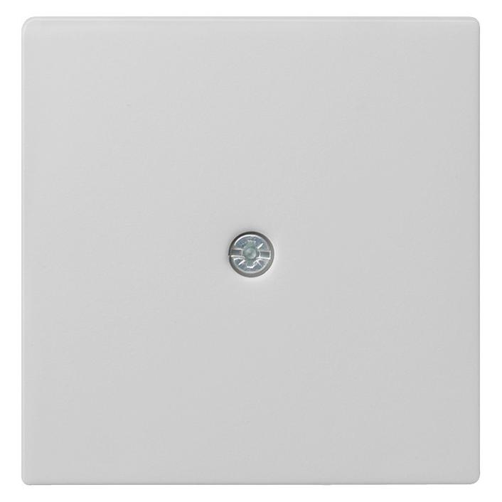 Gira Abdeckung (274015)