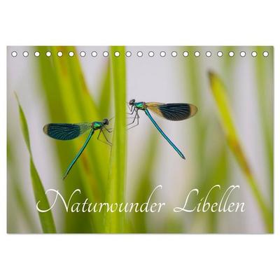 Naturwunder Libellen (Tischkalender 2027 DIN A5 quer), CALVENDO Monatskalender