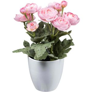 Creativ-green Kunstblume Ranunkel, rosa, im Topf, Höhe 20 cm, 2 Stück