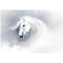 FOTOTAPETE Pferd Tiere Grau 312x219 cm
