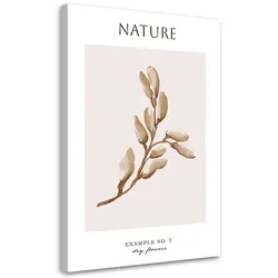 WANDBILD trockene blume natur