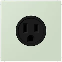 Jung Steckd NEMA15 LC 521-15 218