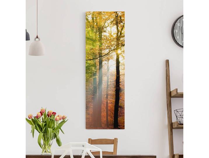 Leinwandbild Morning Light II Kunststoffart: Polyethylen Material: Kunststoff Motiv: Bäume, Pflanzen & Natur Muster: mit Motiv Orange 50cm
