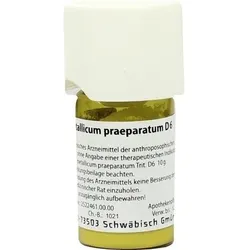 FERRUM METALLICUM PRAEPARATUM D 6 Trituration 20 g