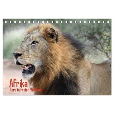 Afrika. Tiere in freier Wildbahn (Tischkalender 2027 DIN A5 quer), CALVENDO Monatskalender