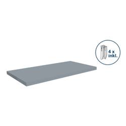 Orion Regalsysteme E10060M/040 Fachboden (B x T) 1000 mm x 600 mm Edelstahl Edelstahl Metallboden 1 St.
