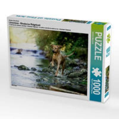 CALVENDO Puzzle Löwentanz - Rhodesian Ridgeback 1000 Teile Lege-Größe 64 x 48 cm Foto-Puzzle Bild von Sabrina Mischnik