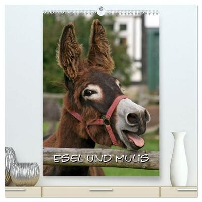 Esel und Mulis (hochwertiger Premium Wandkalender 2027 DIN A2 hoch), Kunstdruck in Hochglanz
