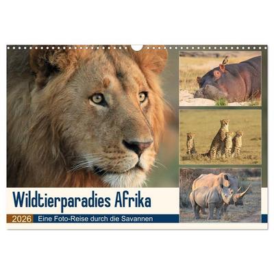 Wildtierparadies Afrika - Eine Foto-Reise durch die Savannen (Wandkalender 2026 DIN A3 quer), CALVENDO Monatskalender