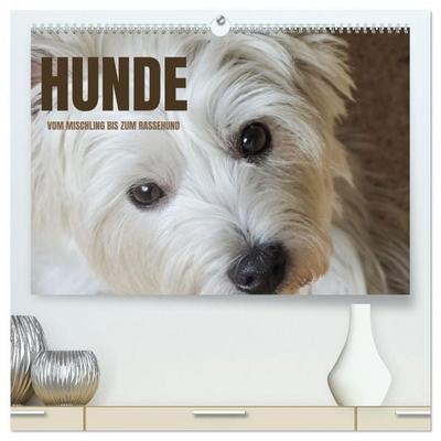 Hunde - vom Mischling bis zum Rassehund (hochwertiger Premium Wandkalender 2026 DIN A2 quer), Kunstdruck in Hochglanz