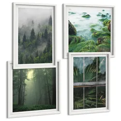 BILDER SET 4er Set - 50x50 cm & 40x60 cm Weißer Rahmen - Waldnebel, Fluss, Gewächshauspflanzen