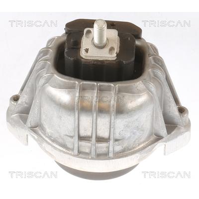 TRISCAN Lagerung, Motor 850511107 für BMW