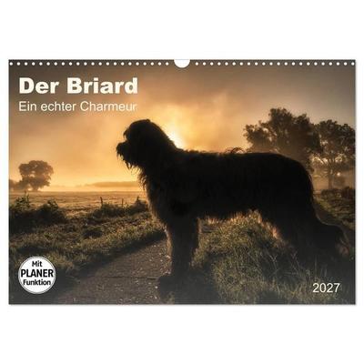 Der Briard 2027 - Ein echter Charmeur (Wandkalender 2027 DIN A3 quer), CALVENDO Monatskalender