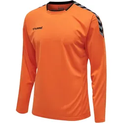 hummel Authentic Polyester langarm Trikot Kinder tangerine 116