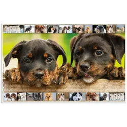 HERMA Schreibtischunterlagen 55,0 x 35,0 cm Hunde