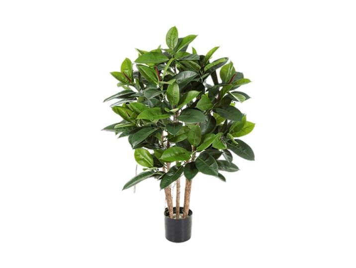 Lebensechte Kunstpflanze „Ficus Elastica Ramifié“ Grün Baq Design