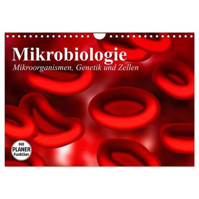 Mikrobiologie. Mikroorganismen, Genetik und Zellen (Wandkalender 2027 DIN A4 quer), CALVENDO Monatskalender