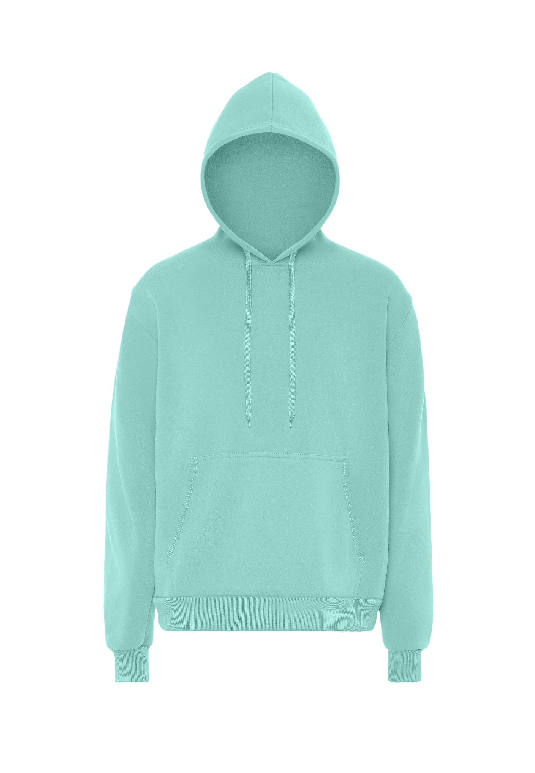 Mo Hoodie Heren IJs munt