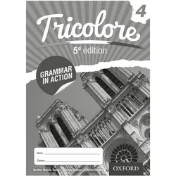 Tricolour Grammar in Action 4 (8 Pack), Schulbücher von Heather Mascie-Taylor