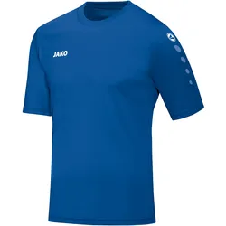 Jako Trikot Team KA sportroyal 104