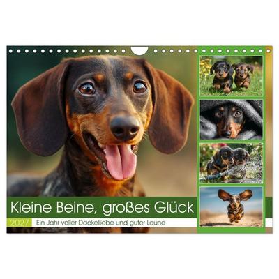 Kleine Beine, großes Glück (Wandkalender 2027 DIN A4 quer), CALVENDO Monatskalender