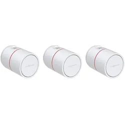Starter-Paket Radiator Eco VIESSMANN
